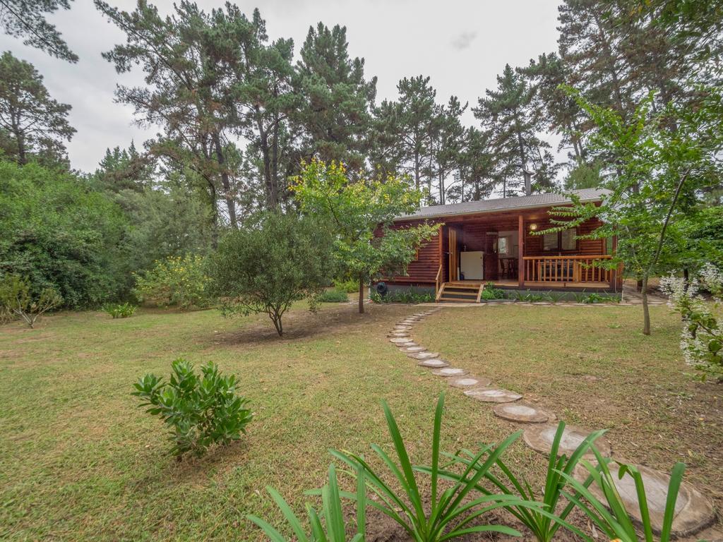 Eagles' Call Cottages And Tent ワイルダーネス エクステリア 写真