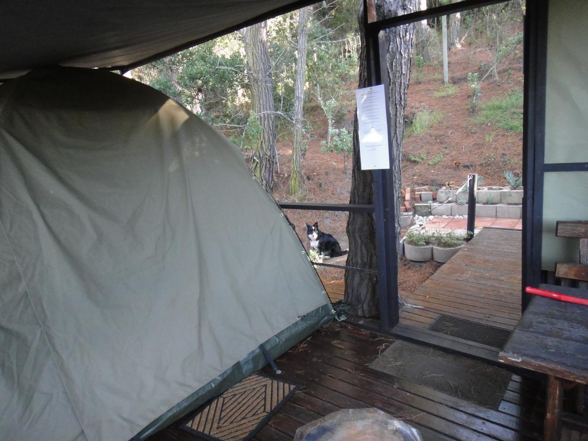 Eagles' Call Cottages And Tent ワイルダーネス エクステリア 写真